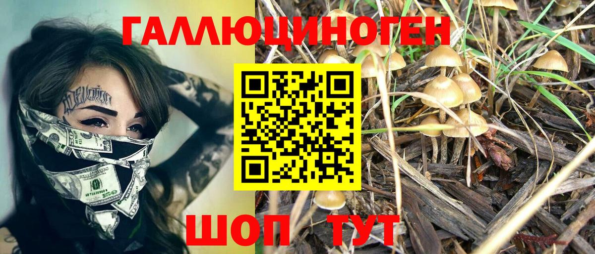 Галлюциногенные грибы MAGIC MUSHROOMS Костомукша