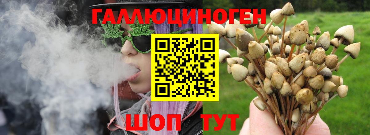 где найти наркотики  Вход с VPN  Костомукша  Галлюциногенные грибы MAGIC MUSHROOMS 